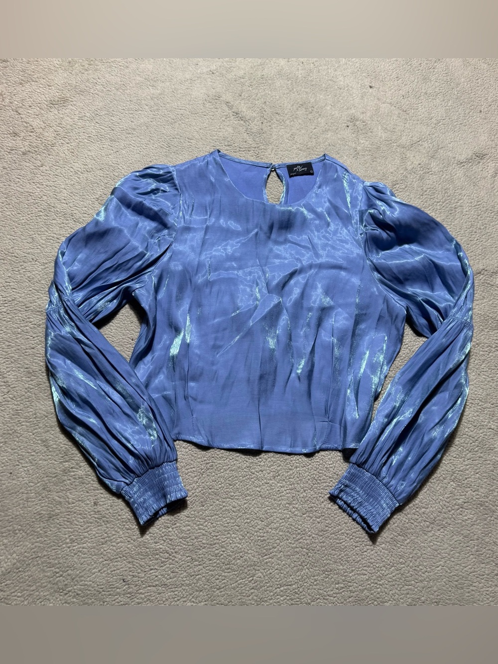 Milk & Honey Top Womens Large Blue Shimmery Puffed Long Sleeve Blouse Cropped